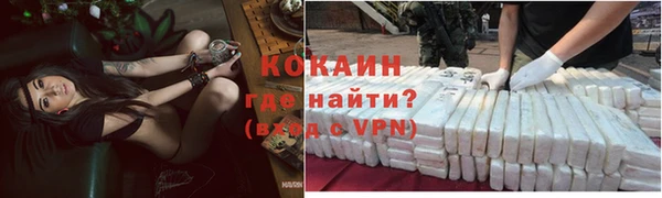 стаф Новокубанск