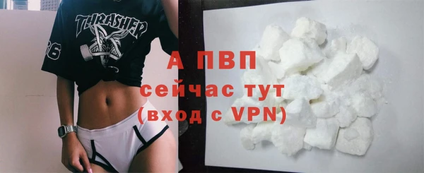 стаф Новокубанск
