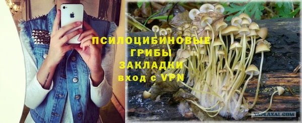 MDMA Новодвинск