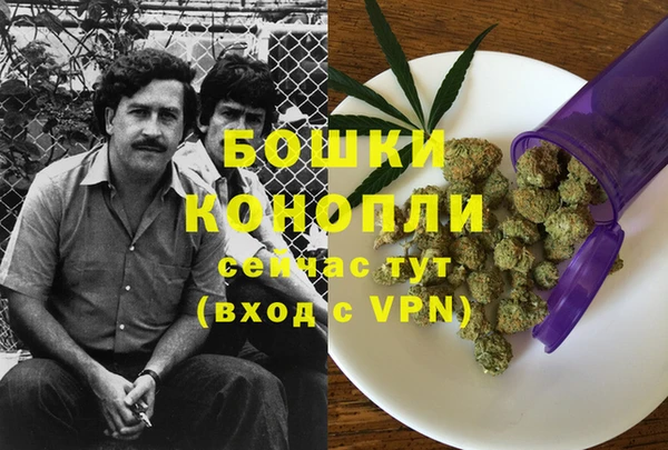 MDMA Новодвинск