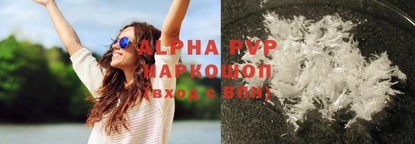 стаф Новокубанск